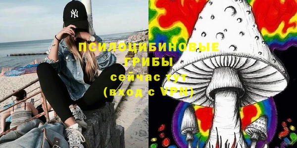мдпв Кинешма