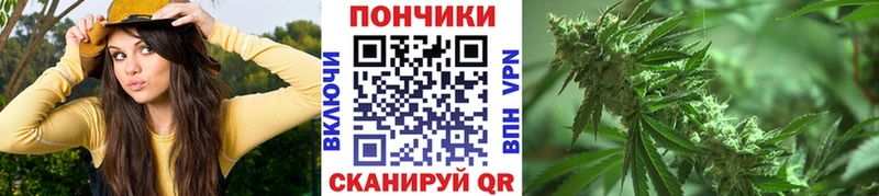 Купить где  Слободской  Бошки Шишки планчик 